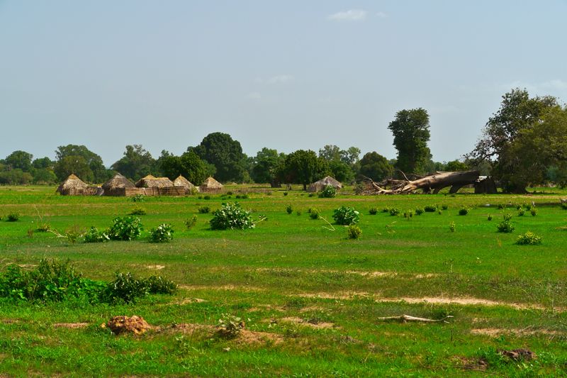 Gambia